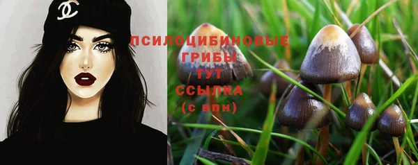 a pvp Армянск