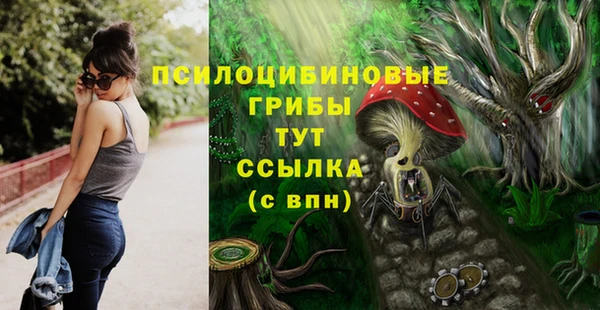 apvp Аркадак