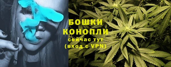 apvp Аркадак