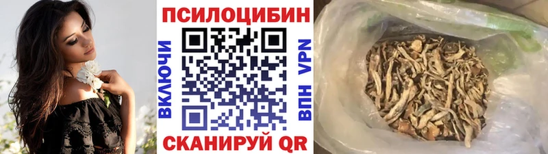 Псилоцибиновые грибы GOLDEN TEACHER Бакал